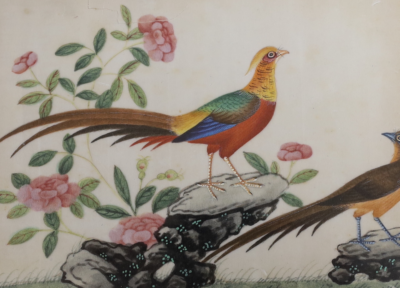 19th century Chinese school, pair of pith paper paintings, Birds of Paradise, largest 17 x 24cm